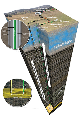 CCUS Column