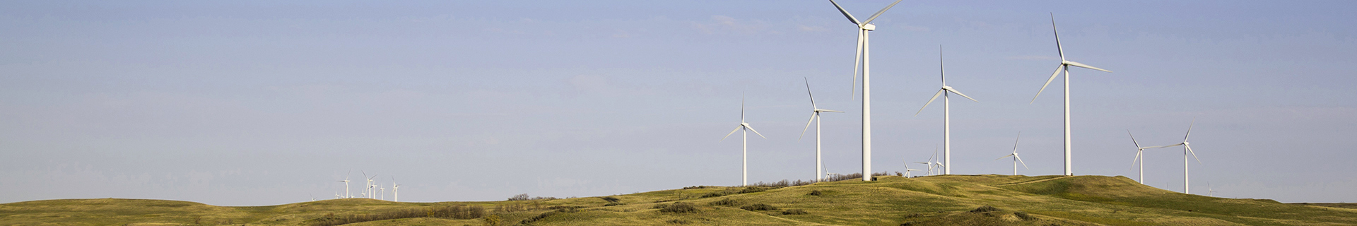 Grassy landscape with wind turbines on a sunny day